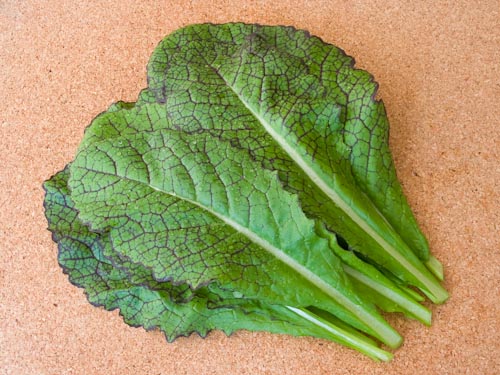 Asia-Salate