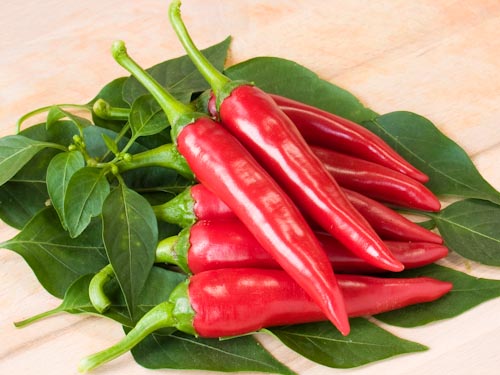 Chili