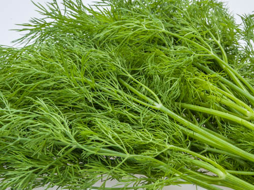 Dill